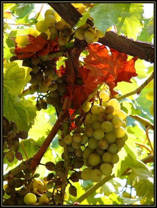 Name:  download_003.jpg
Views: 250
Size:  72.1 KB