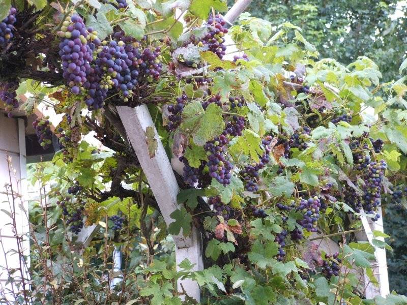 Name:  download_004.jpg
Views: 228
Size:  131.9 KB