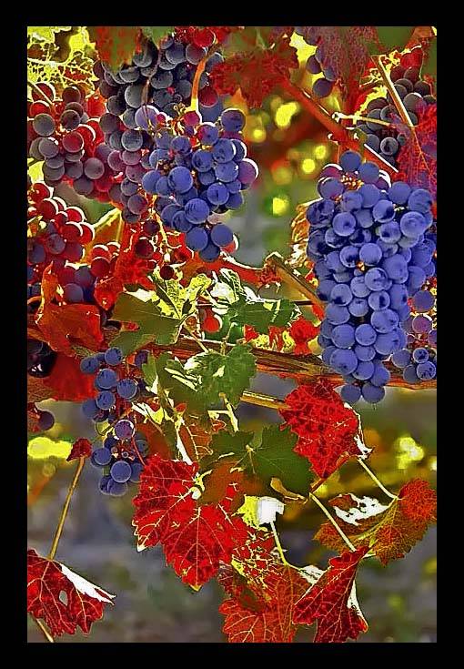 Name:  download_005.jpg
Views: 228
Size:  89.6 KB