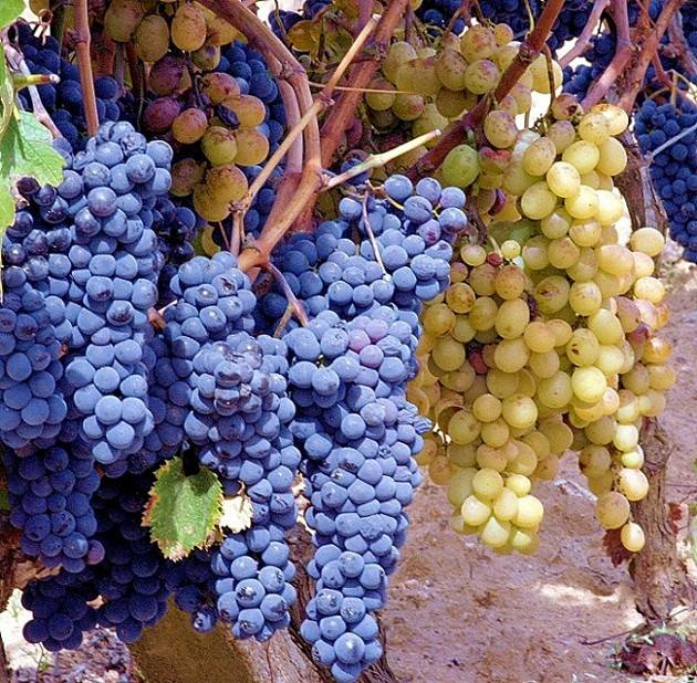 Name:  download_006.jpg
Views: 245
Size:  101.8 KB