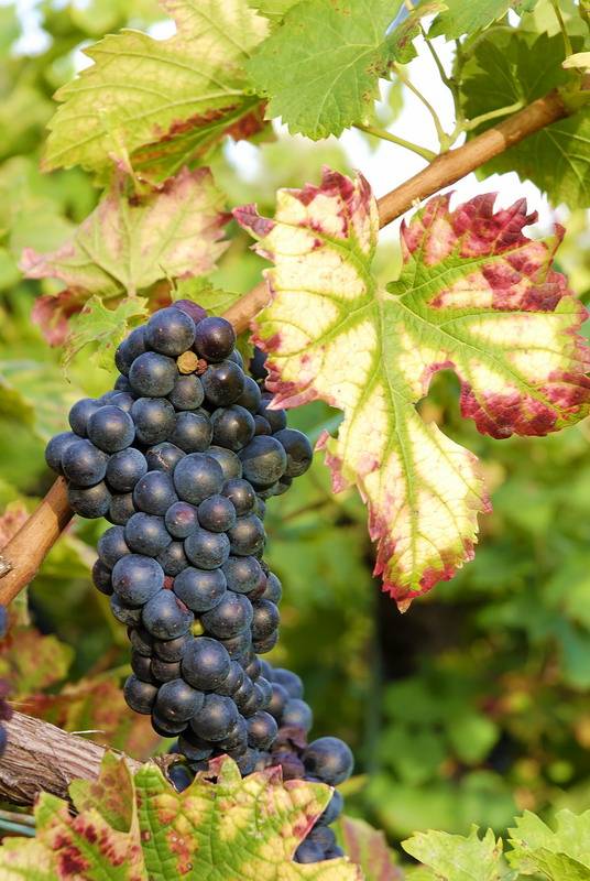 Name:  download_008.jpg
Views: 219
Size:  73.4 KB