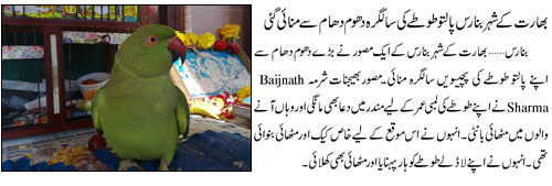 Name:  up45.gif
Views: 177
Size:  39.2 KB