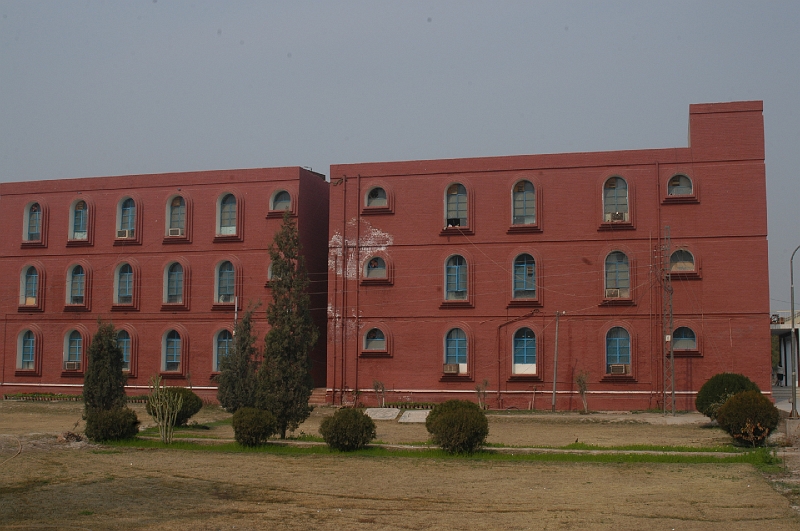 DSC_1167.JPG