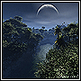 Nightforest