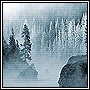 Winterlotsoftrees