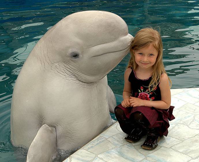 Smile with Dolphin