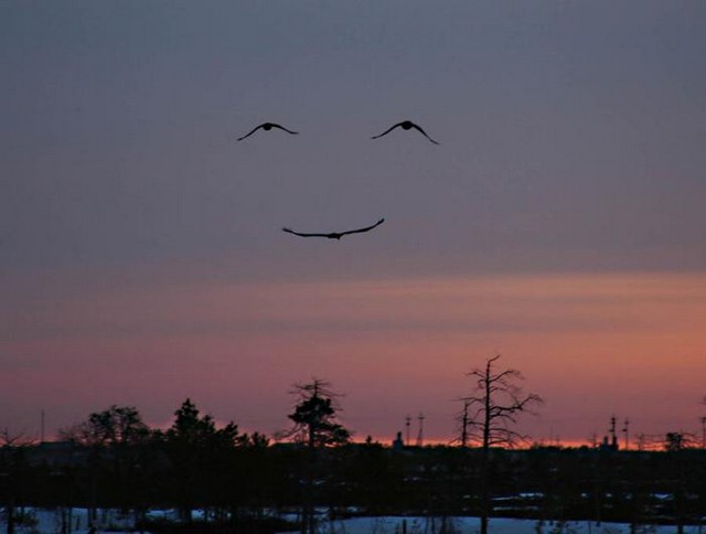 Smile from God