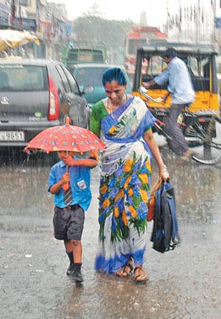 Mothers Love