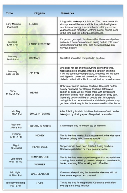 Organ Timing
