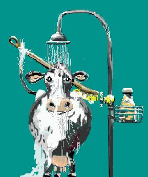 Cow