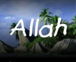 allah 2