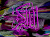thumb islamicwallpapers net14