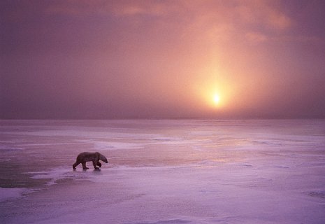 877895682 a843251aae o