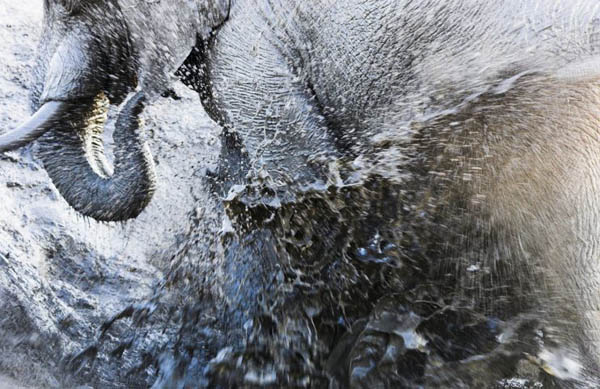 GD5093828@Image and information 4726