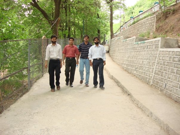 Stop! Stop! We are going down