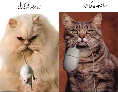 Animalz  099