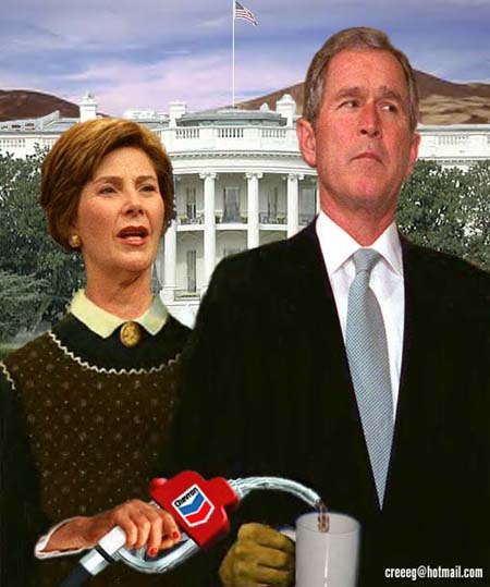 Bush  004