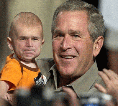 Bush  027