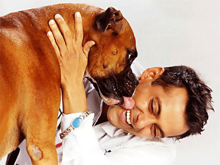 sallu