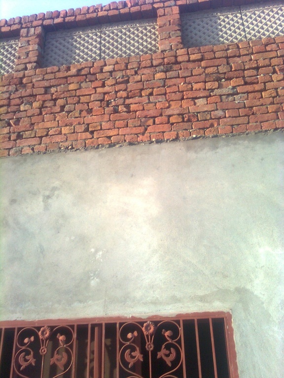 Pardi.. back...