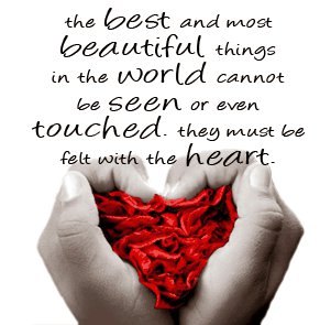 166335 186277111393502 139922516028962 537665 1232995 n