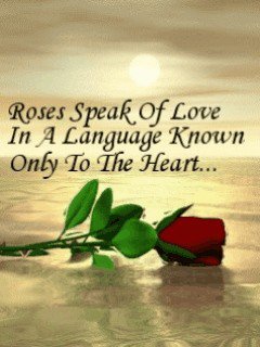 179306 186270964727450 139922516028962 537563 5278745 n