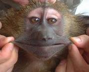 smile g smile