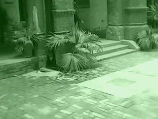 PUCIT 76