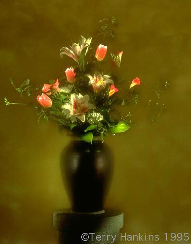 Waqas Ahmed -3