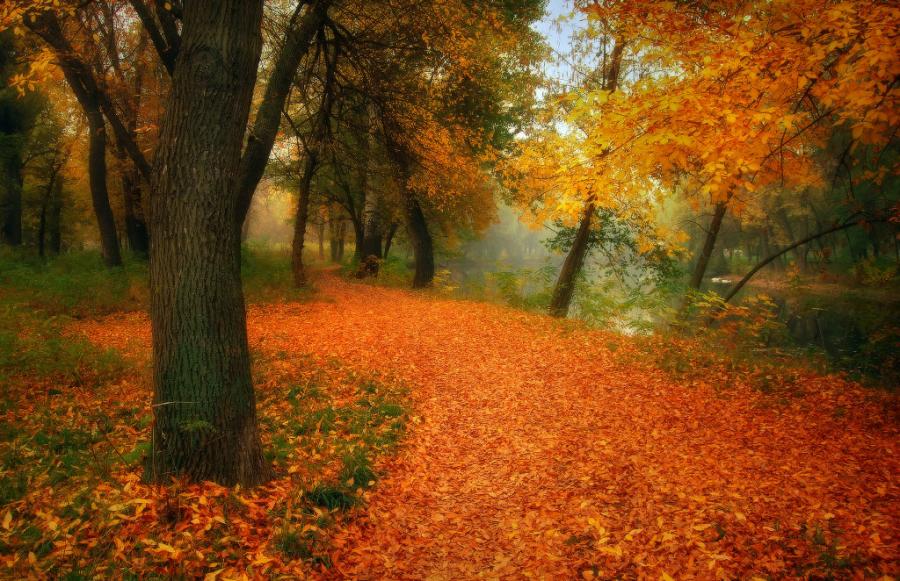 The beautiful nature (1)