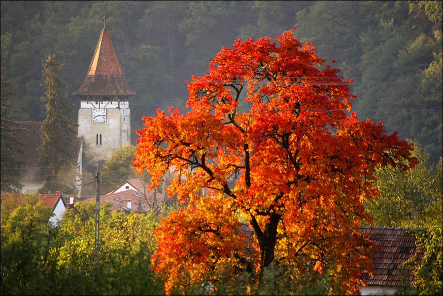 The beautiful nature (2)