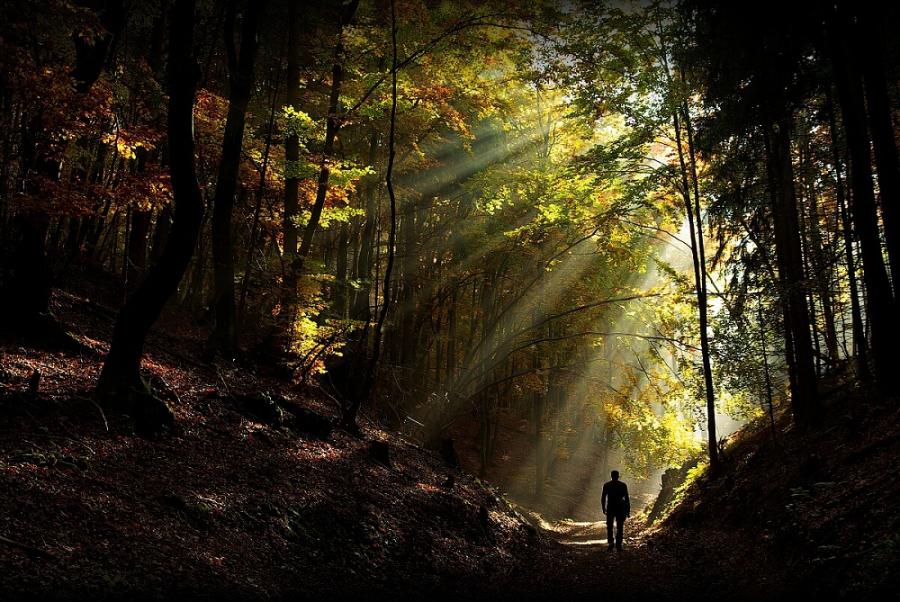 The beautiful nature (6)