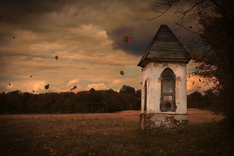 The beautiful nature (10)