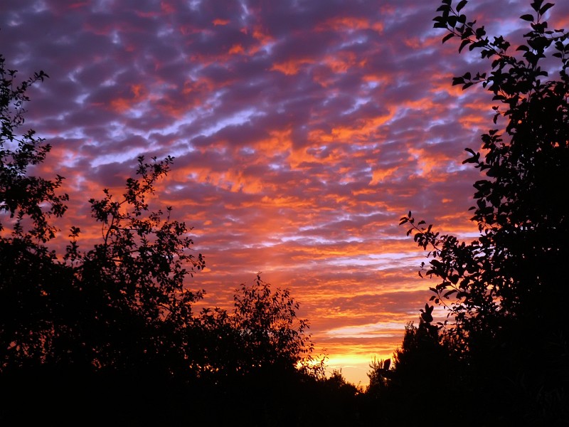 The beautiful nature (13)