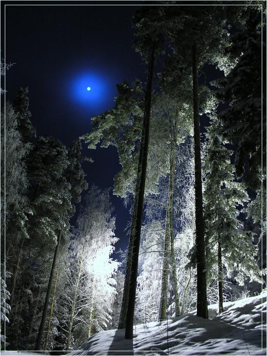 The beautiful nature (16)