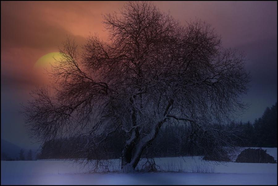 The beautiful nature (17)