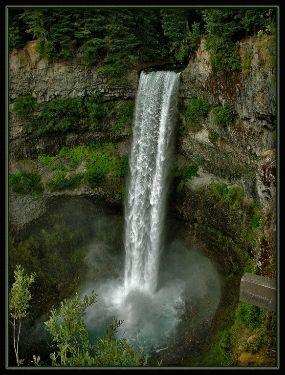 The beautiful nature (29)