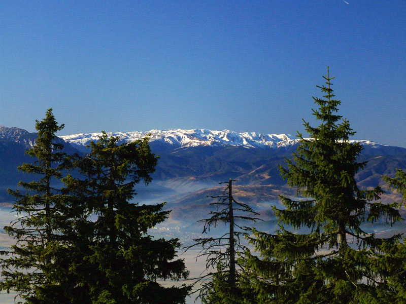 The beautiful nature (36)