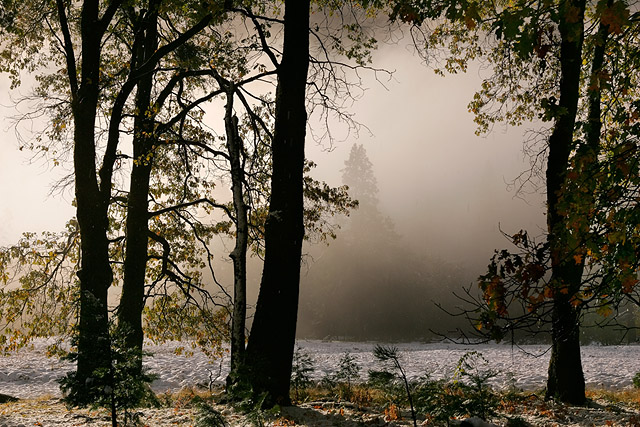 The beautiful nature (43)