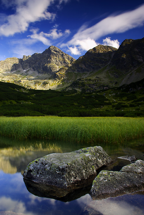 The beautiful nature (47)