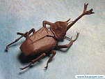 Paper Creation