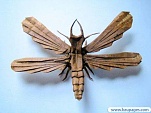 Paper Creation