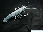 Paper Creation