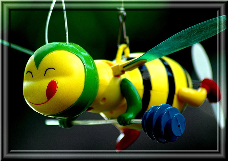 59328786ji3gq0wsbumblebig6