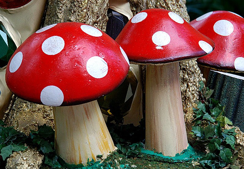 70214126t54e49z4dsc4686ot1