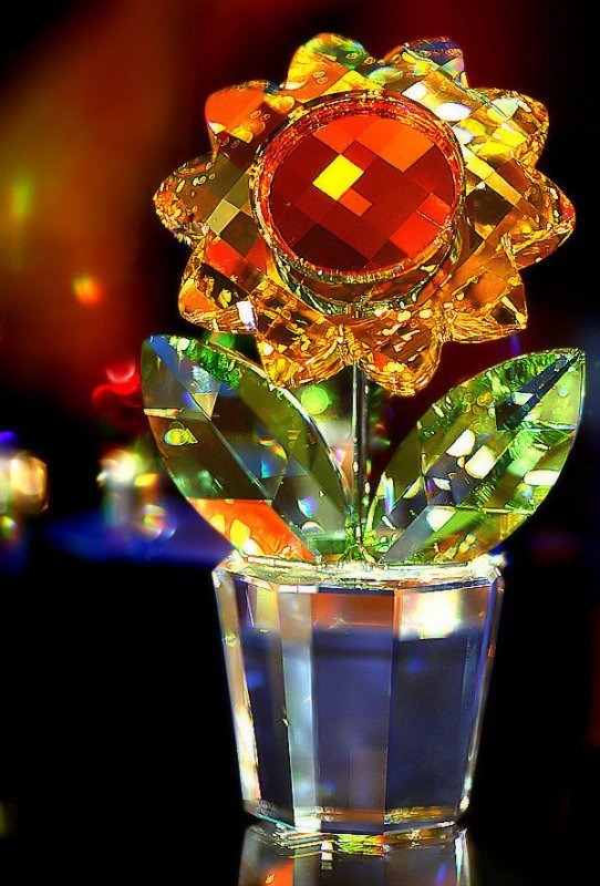 73860593opwt40xy492ecdbb8