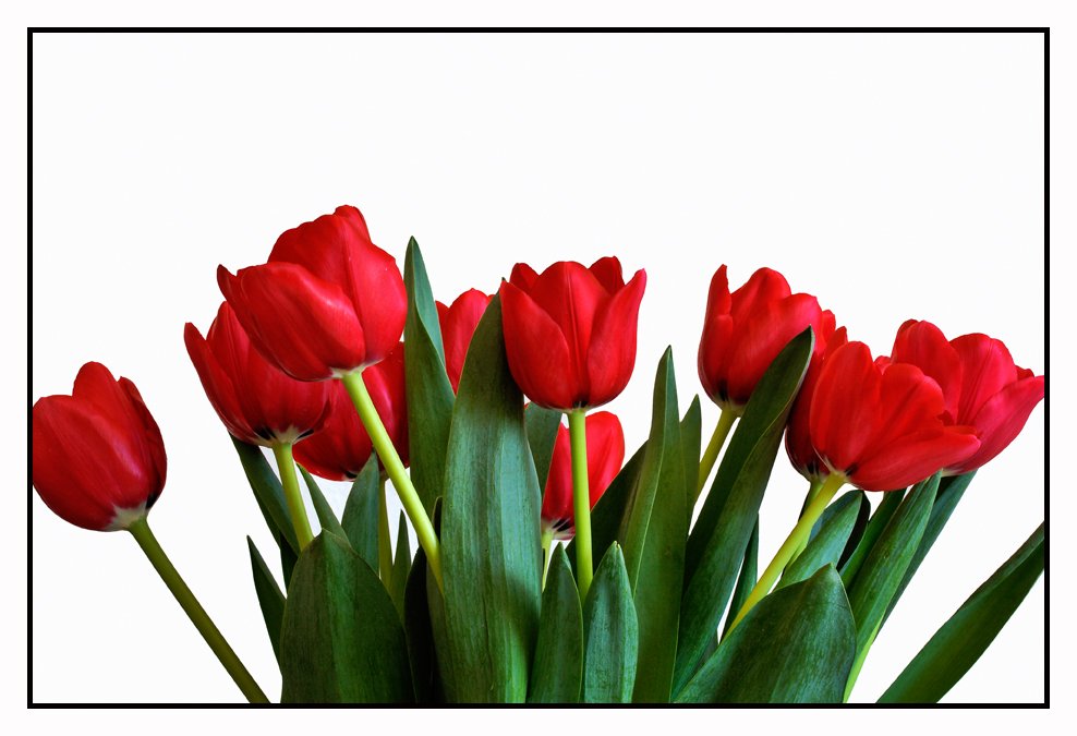 bf4681bf667c5e9a30ad73d