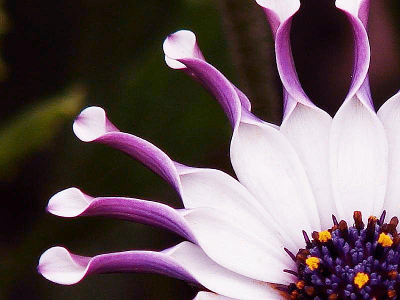 77159355jyaj2ap1ph28997