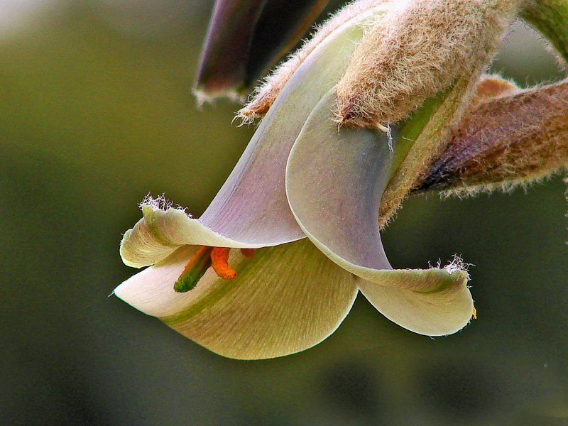 109878591szpjxodh1f3776