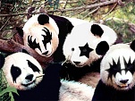 20040907.Panda